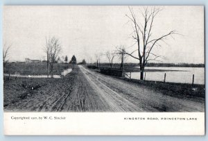 Princeton Minnesota MN Postcard Kingstone Road Lake Scene 1905 Vintage Unposted