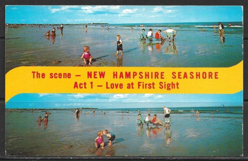 New Hampshire - Seashore - Love At First Sight - [NH-207]