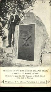 ADAMSVILLE RI Rooster Monument Old Postcard