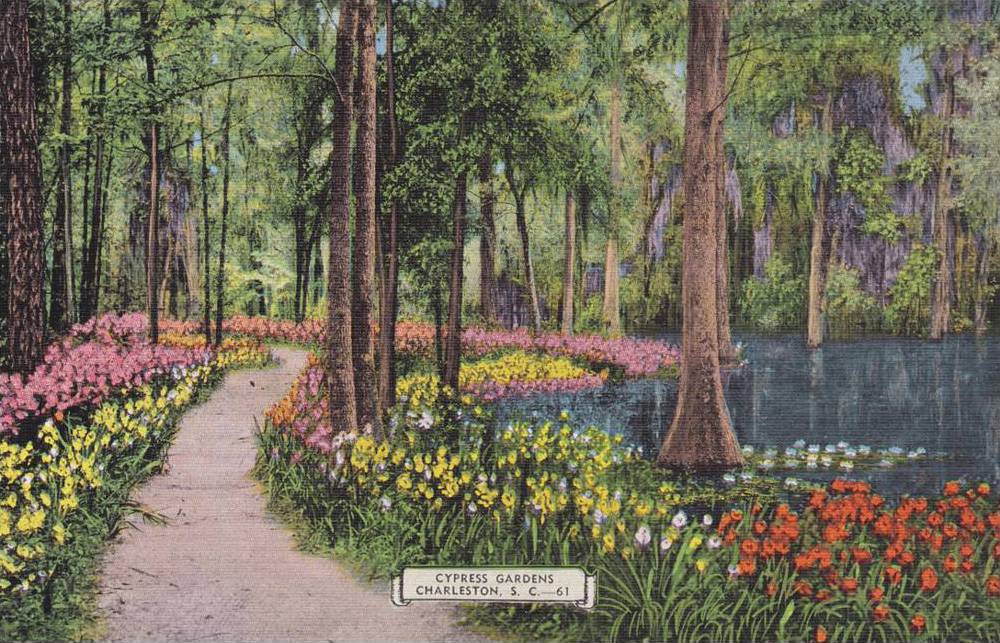 Cypress Gardens Charleston South Carolina 30 40s Hippostcard