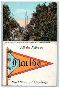 Florida FL Postcard All The Folks Multiview Orange Grove c1910 Vintage Pennant