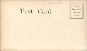 West Wareham Massachusetts MA Tremont Cash Store Cape Cod c1910 Postcard