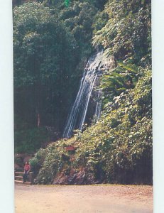 Chrome WATERFALL SCENE El Yunque Forest - Near San Juan Puerto Rico PR AG3857