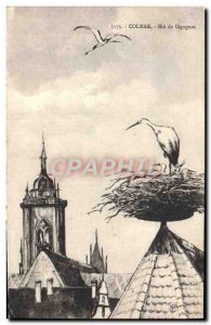 Old Postcard Colmar Storks Nest