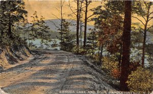 J30/ Hendersonville North Carolina Postcard c1910 Kanuga Lake Road  238