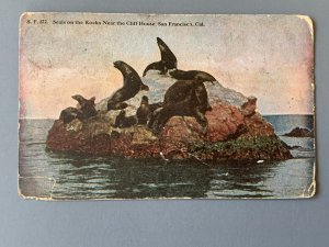 Seals On Rocks Near Cliff House San Francisco CA Litho Postcard A1151085618