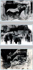 3 RPPC Postcards CHICAGO - BROOKFIELD ZOO ~ Rhinoceros, Indian Elephant, Giraffe