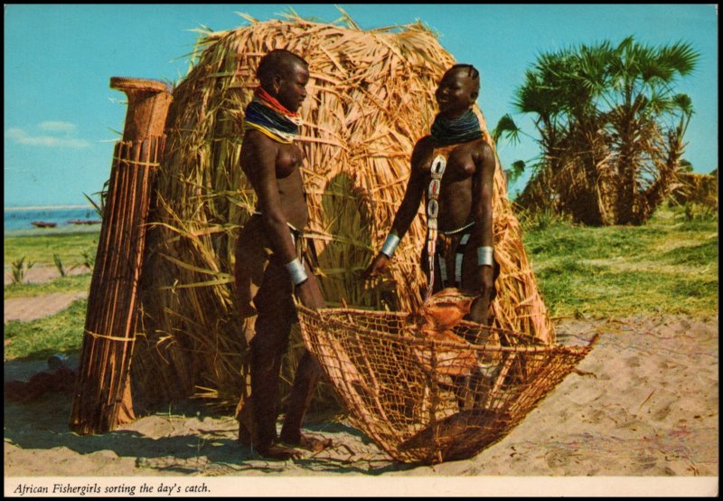 Kenya Post Card - African Fishergirls sorting the day's catch, unused