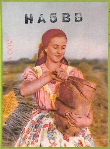 ae8229 - HUNGARY - RADIO CARD - 1955 - Budapest-