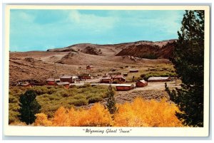 c1960's Wyoming Ghost Town South Pass City Lander Wyoming WY Unposted Postcard