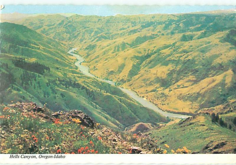 Rigging Idaho Hells Canyon Snake River Americas Deepest Canyon  Postcard  # 8058