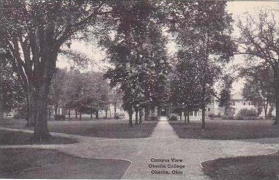 Ohio Oberlin Campus View Oberlin College Albertype