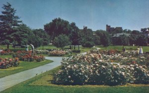 Postcard Circle Park Deering Oaks Flower Landscape Maine ME Portland News Co.