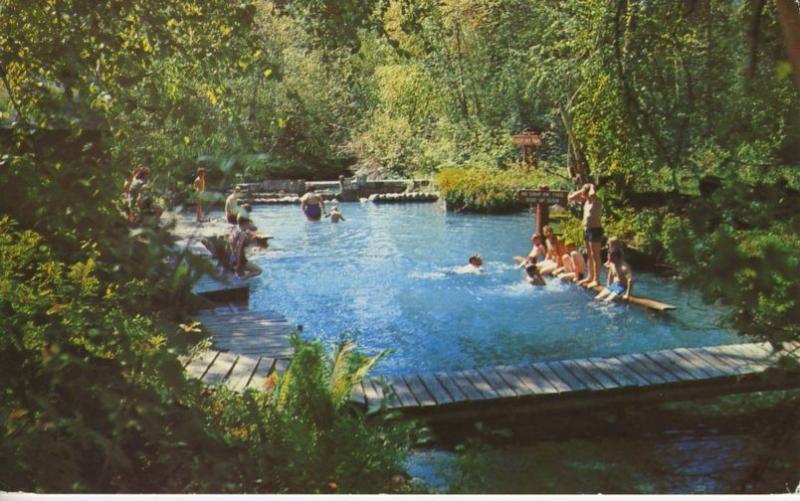Liard Hot Springs Alaska Highway Mile 496.5 BC Canada Unused Postcard D26
