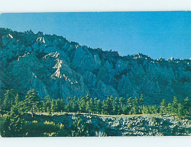 Pre-1980 NATURE SCENE Buffalo Wyoming WY AD2735