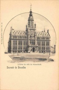 Bruxelles L'Hotel de ville de Schaerbeek Belgium c1900s Vintage Postcard