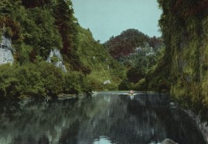 Vintage Postcard Whanganui River Historic Interest & Scenic Beauty New Zealand 