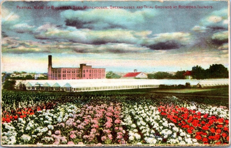 Postcard advert IL Rockford - Buckbee's Seed Warehouse Greehouse Trial Gardens