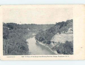 Pre-1907 NATURE SCENE Rochester New York NY A1603