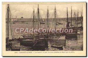 Postcard Old Camaret sur Mer boats to port days preceding the departure for f...