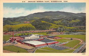 Elizabethton, Tennessee, American Bemberg Plant, AA373-10