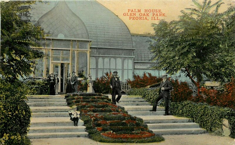 c1910 Wheelock Postcard; Peoria IL, Palm House, Glen Oak Park, Unposted