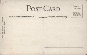 Medway MA Massachusetts Lake Populatic Scene c1900-20s Vintage Postcard