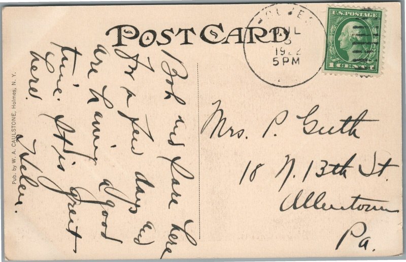 HOLMES NY WHALEY LAKE INN ANTIQUE POSTCARD