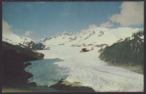 Mendenhall Glacier,Alaska Postcard