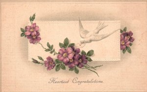 Vintage Postcard 1910's Heartiest Congratulations Greetings White Bird & Flowers