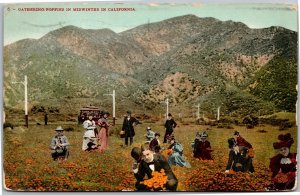 Postcard CA Gathering Poppies Midwinter California Man Tipping Hat