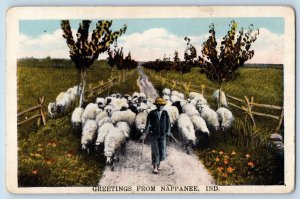 Nappanee Indiana IN Postcard Greetings Sheep Animals Farm 1923 Vintage Antique