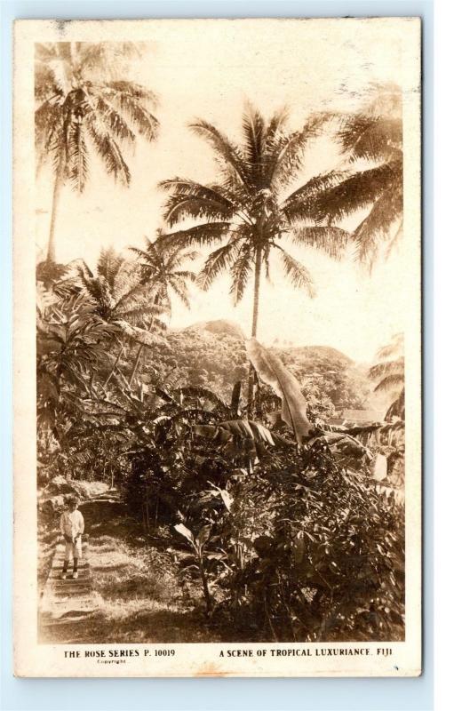 *Rose Series Tropical Fiji Island Boy on Steps Palms Vintage Photo Postcard C40