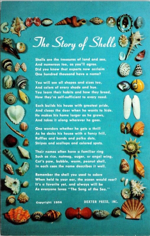 Story Of Sea Shells Poem Collection Hobby Beach Ocean Chrome Postcard 