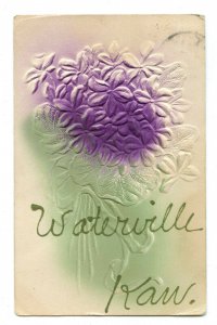 Postcard Waterville Kan. Vintage Standard View Embossed Card Flowers Air Brushed