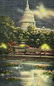 Vintage Postcard United States Capitol Botanical Garden at Night Washington DC