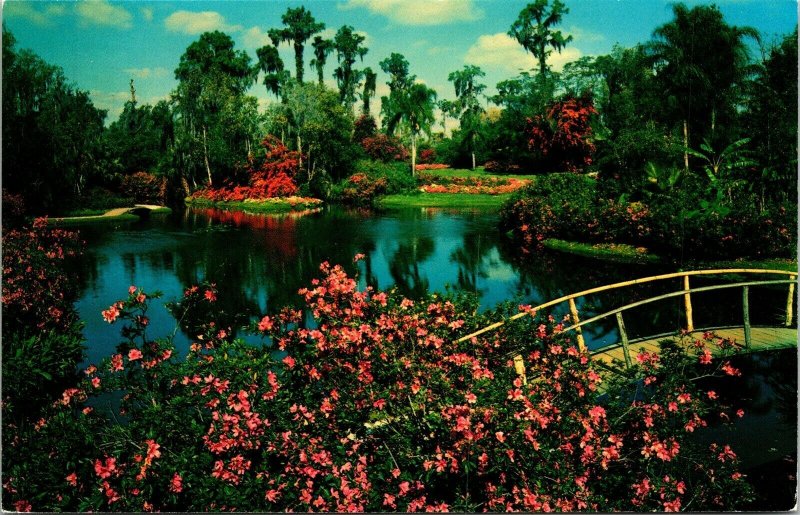 Cypress Gardens Florida FL Bridge Water Flowers Postcard VTG UNP Koppel Vintage  
