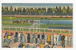 Vintage USA Picture Postcard - Hialeah Park, Miami, FL (AG11)