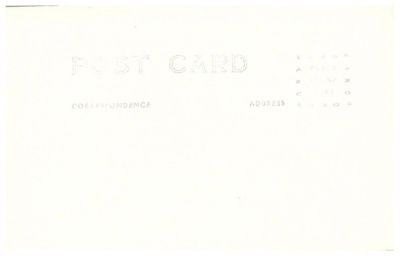 RPPC Postcard Petrified Forest Arizona