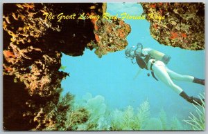 Florida Keys Florida 1960s Postcard Great Living Reef Scuba Diver