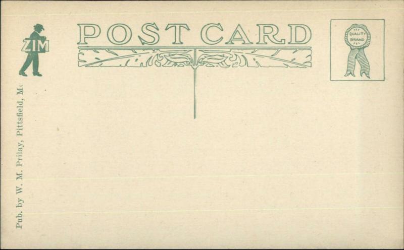 South Paris ME Pleasant St. Trolley c1910 Postcard