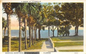 A Scene at Titusville, Beautiful Indian River Florida