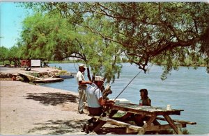 Camping on the Colorado River Colorado Postcard