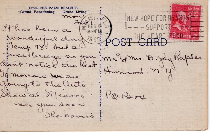 US    PC2325  FLORIDAS UNUSUAL MORETON BAY FIG TREE