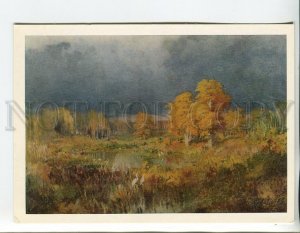 457125 USSR 1980 year Vasiliev swamp in the forest autumn old postcard