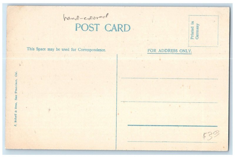 c1910 High School Pocatello Idaho ID Handcolored Unposted Antique Postcard