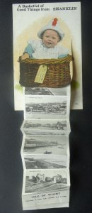 Isle of Wight SHANKLIN NOVELTY 10 Image PULL-OUT c1919 Postcard by Valentine