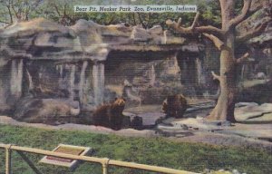 Bear Pit Mesker Park Zoo Evansville Indiana