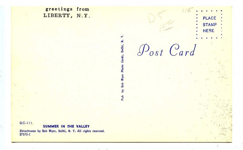 NY - Catskills, Liberty. Summer in the Valley