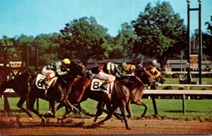 New York Saratoga Race Track Horses Driving To The Finish